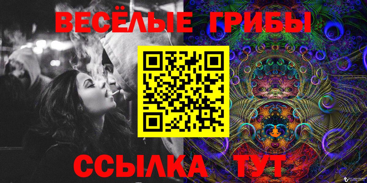 Галлюциногенные грибы Cubensis  Вход с VPN  Избербаш 