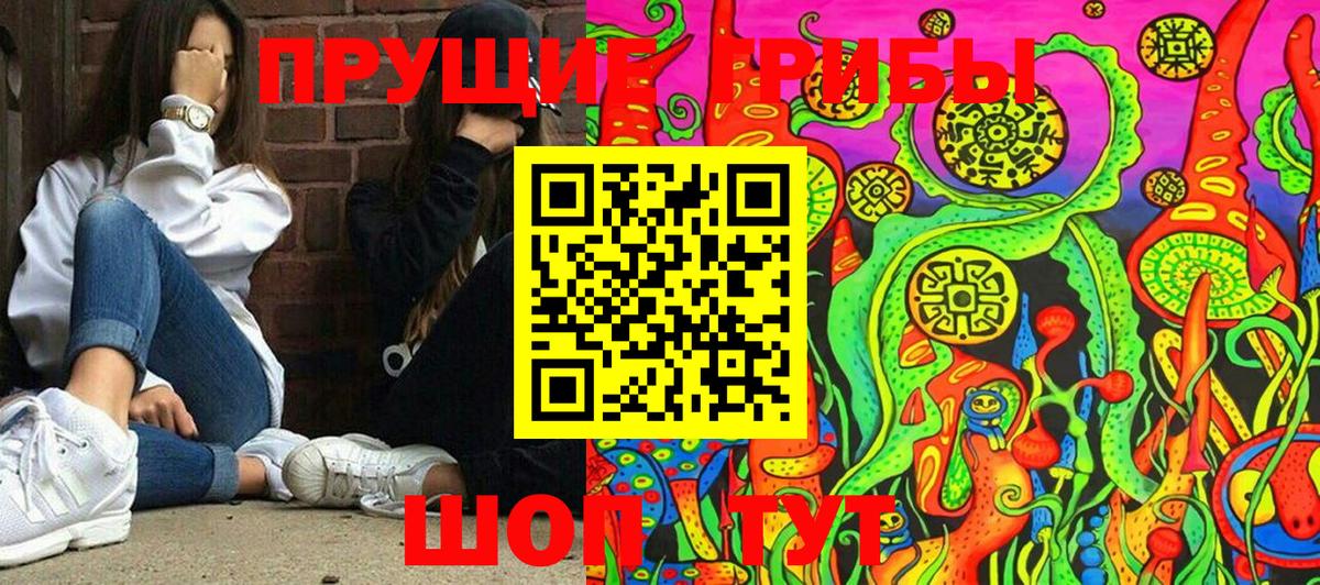 Галлюциногенные грибы GOLDEN TEACHER Избербаш